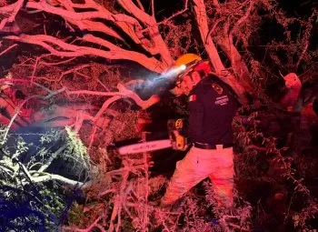 Lluvias en Puebla: retiran árboles caídos en Acatlán y Ajalpan; sin lesionados