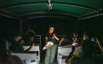Familias descubren el mundo nocturno de los cocodrilos en Punta Sur, Cozumel