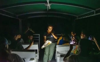 Familias descubren el mundo nocturno de los cocodrilos en Punta Sur, Cozumel
