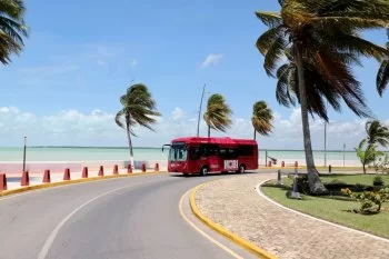 IMOVEQROO inicia pruebas sin pasajeros de unidades eléctricas Tarúk en Chetumal