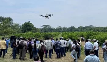 Encuentro de productores de limón Persa fortalece la citricultura en Tabasco