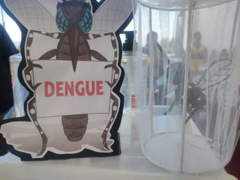 Guanajuato reporta 14 casos de dengue en 2026, una reducción del 60% respecto al año anterior