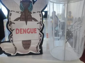 Guanajuato reporta 14 casos de dengue en 2026, una reducción del 60% respecto al año anterior