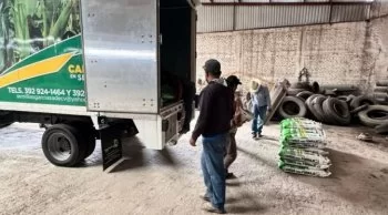 Gobierno de Michoacán distribuye 6 mil 400 bultos de semilla certificada de maíz híbrido