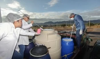 Leche para el Bienestar restablece acopio en Veracruz tras atender quejas de productores