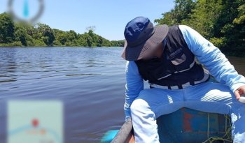 Profepa y Conagua investigan mortandad de peces en río Limón, Veracruz