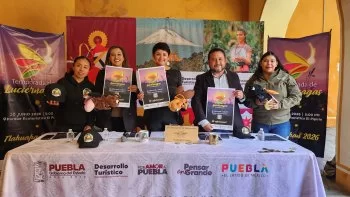 Temporada de luciérnagas en Tlahuapan, Puebla: del 20 de junio a mediados de agosto