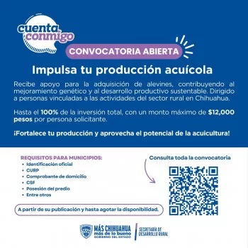 Gobierno de Chihuahua lanza apoyos para alevines con hasta 12 mil pesos por solicitante