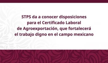 STPS publica reglas para el Certificado Laboral de Agroexportación; trámite será digital y gratuito