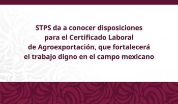 STPS publica reglas para el Certificado Laboral de Agroexportación; trámite será digital y gratuito