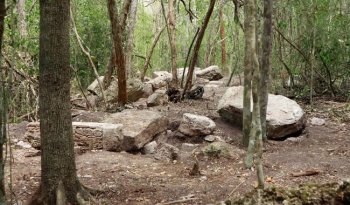 Hallan en Campeche la ciudad maya intacta Minanbé, sin saqueos y con 14 estelas