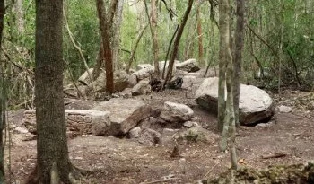 Hallan en Campeche la ciudad maya intacta Minanbé, sin saqueos y con 14 estelas
