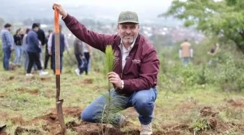 Michoacán plantará 10.5 millones de árboles en jornada masiva de reforestación