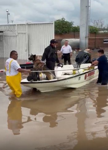 Rescatan a dos personas y sus perros atrapados por inundación en el PIVA, Aguascalientes