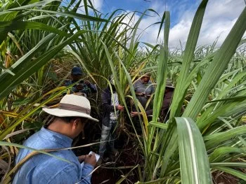 SEDARPE y CICY fortalecen el campo de Quintana Roo con ciencia y soporte técnico en territorio