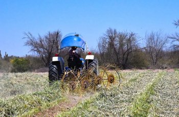 SEPADA reactiva vivero en Comondú para mitigar efectos de la sequía en BCS