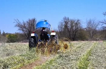 SEPADA reactiva vivero en Comondú para mitigar efectos de la sequía en BCS