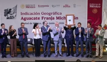 IMPI y Economía otorgan Indicación Geográfica al aguacate Hass de 31 municipios de Michoacán