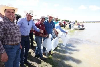 Gobernador David Monreal arranca siembra de 400 mil crías de tilapia en Fresnillo