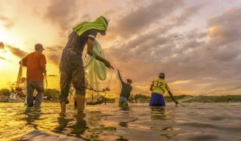 Población pesquera en México crece 13.4% de 2016 a 2025: Conapesca