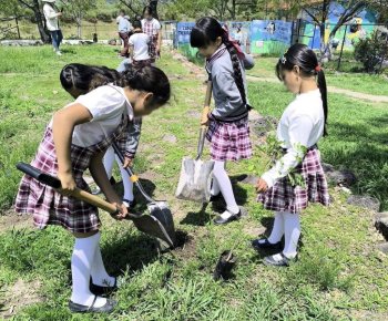 Procuradora Ambiental Karina Padilla encabeza jornada de arborización en Abasolo