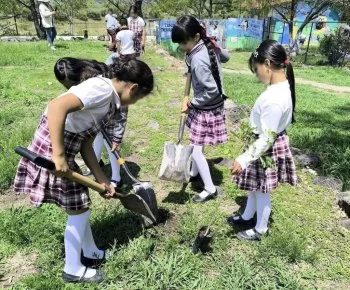 Procuradora Ambiental Karina Padilla encabeza jornada de arborización en Abasolo