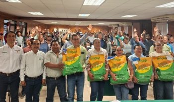 INIFAP entrega semilla mejorada de maíz en Chiapas para fortalecer la soberanía alimentaria