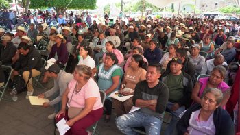Gobierno de Puebla entrega más de 5 mil bultos de sorgo a mil 200 productores