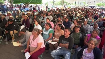Gobierno de Puebla entrega más de 5 mil bultos de sorgo a mil 200 productores