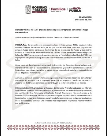 Gobierno de Puebla presenta denuncia penal por presunto maltrato animal en San Andrés Cholula