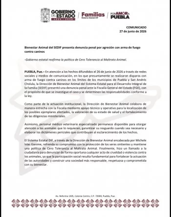 Gobierno de Puebla presenta denuncia penal por presunto maltrato animal en San Andrés Cholula
