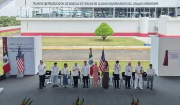 México y EU inauguran planta de moscas estériles en Chiapas para erradicar plaga del gusano barrenador