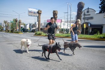 Puebla arranca nueva etapa de la Vía Recreativa Metropolitana con 11,599 participantes