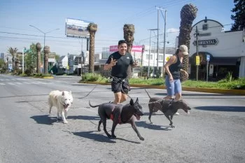 Puebla arranca nueva etapa de la Vía Recreativa Metropolitana con 11,599 participantes