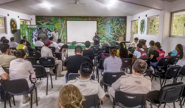 Senasica descarta propagación de influenza aviar H7 en Chiapas; riesgo es bajo