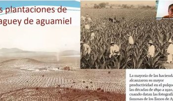 Seminario Internacional de Cocinas 2026 explora el patrimonio biocultural de México y Bolivia