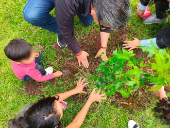Medio Ambiente de Puebla plantará más de 2 millones de árboles en 2025 con especies forestales, frutales y polinizadoras