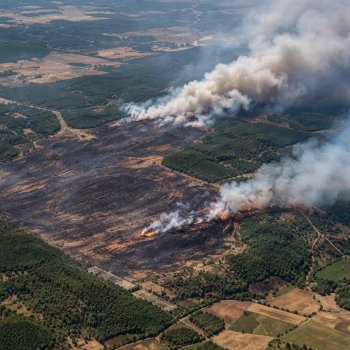 Imágenes satelitales revelan devastación de incendios forestales en Europa tras ola de calor