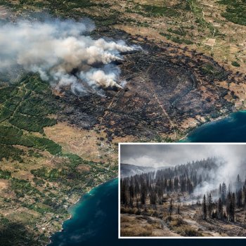Imágenes satelitales revelan la devastación de incendios forestales en Europa tras la ola de calor