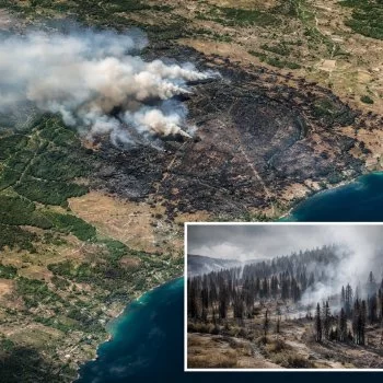 Imágenes satelitales revelan la devastación de incendios forestales en Europa tras la ola de calor