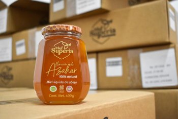 Miel de Aguascalientes conquista mercados internacionales con apoyo estatal