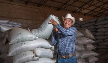 Plan Nacional Frijol: entregan más de 5,300 toneladas de semilla para 146 mil hectáreas