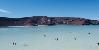 Playas de Baja California Sur, aptas para vacacionistas: COEPRIS