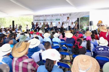 Gobierno federal y estatal refuerzan reforestación en Oaxaca; reconocen labor comunitaria