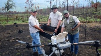 Michoacán usa drones para restaurar bosques con germoesferas en zonas afectadas por incendios