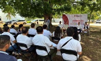 SEMA conmemora el Día Nacional del Árbol con placa a un Árbol Notable en Cancún