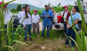 Escuelas de Campo en Jojutla se ubican entre las mejores del país, destaca INIFAP