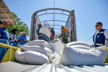 Gobierno de Chihuahua entrega 60 toneladas de maíz rolado a productores de Guadalupe y Práxedis G. Guerrero