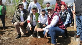 Michoacán plantará 6 millones de árboles en la cuenca del lago de Pátzcuaro para su conservación