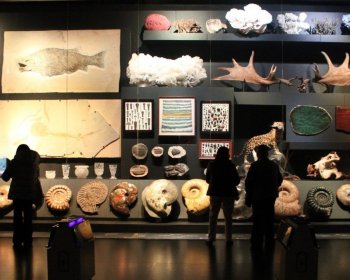 Museo La Milarca celebra su segundo aniversario con entrada gratuita y actividades especiales